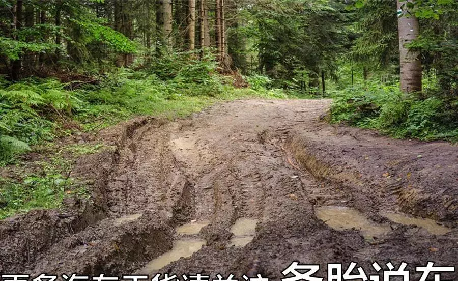 卡罗拉底盘容易磕坏吗(5)