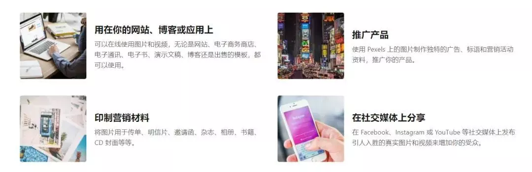 谁能给我个网址2022年的(95)
