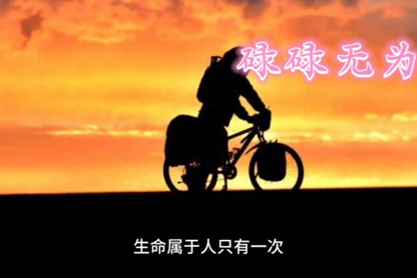 虚度年华而悔恨,碌碌无为而羞耻什么意思.