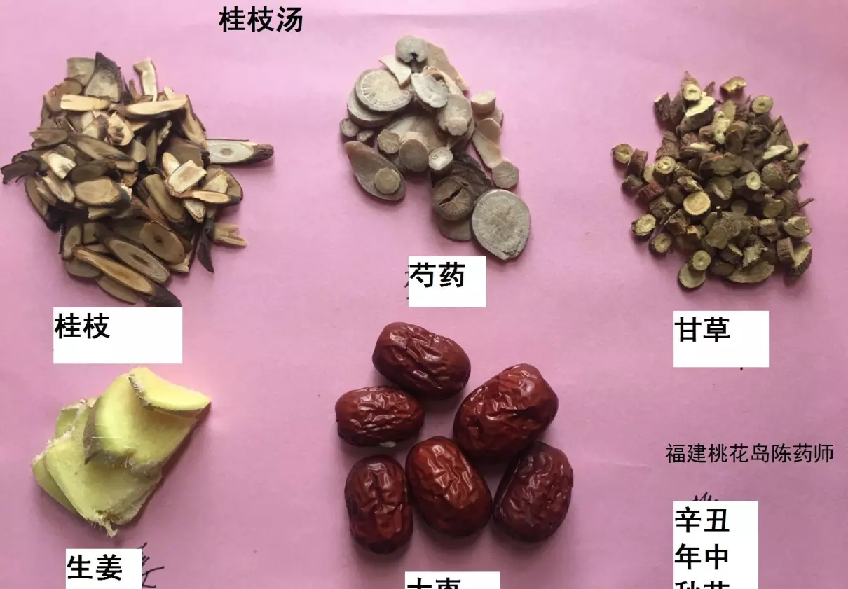 将息如前法是什么意思(1)