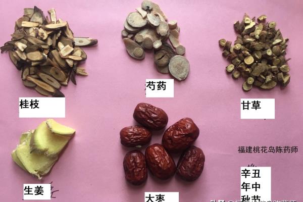 将息如前法是什么意思.