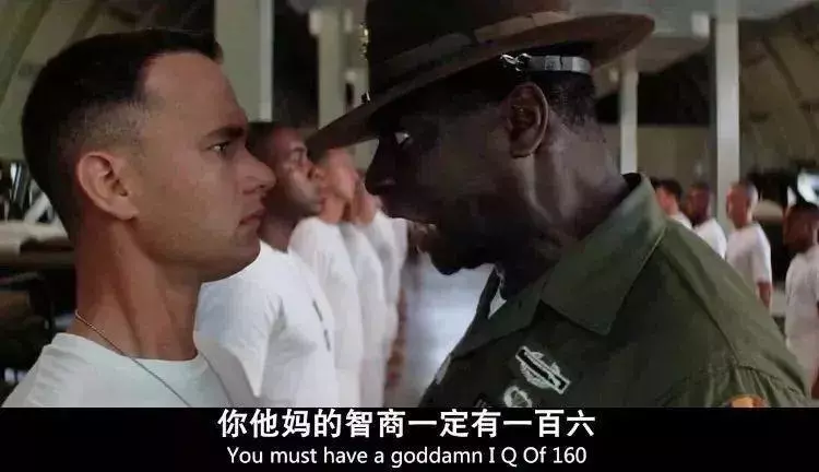 麦兜屎捞人是哪一集(25)