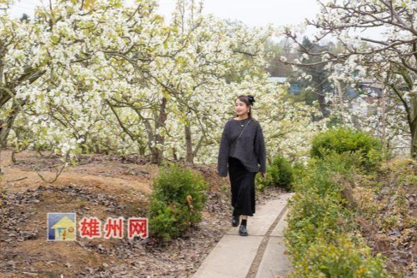 梨花沟梨花什么时候开.
