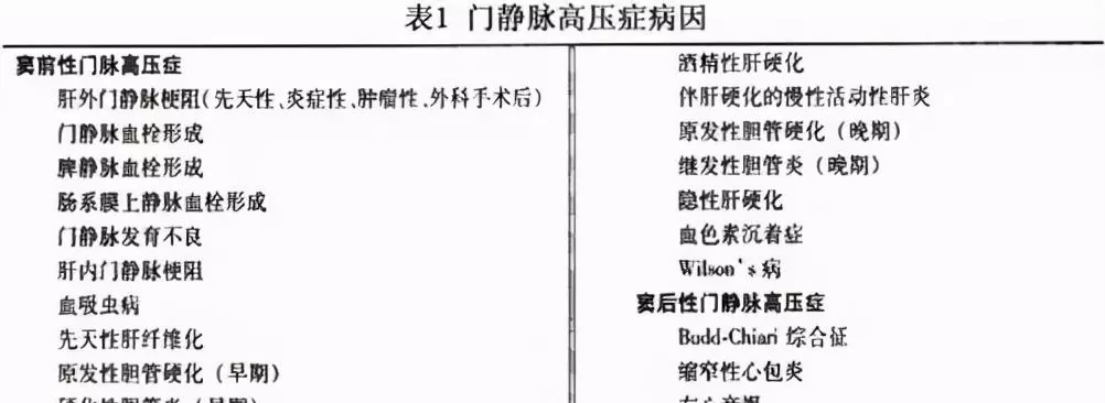 肝门静脉系由什么组成(6)