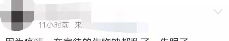 顽固性失眠怎么办外地人可以在上海灵活就业交社保吗(1)