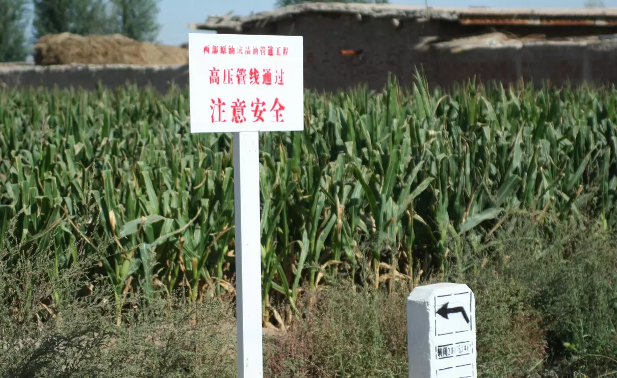 设计交桩是什么意思(3)