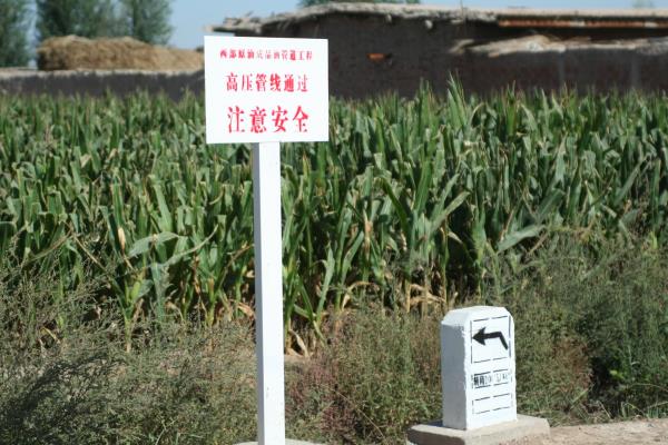 设计交桩是什么意思.