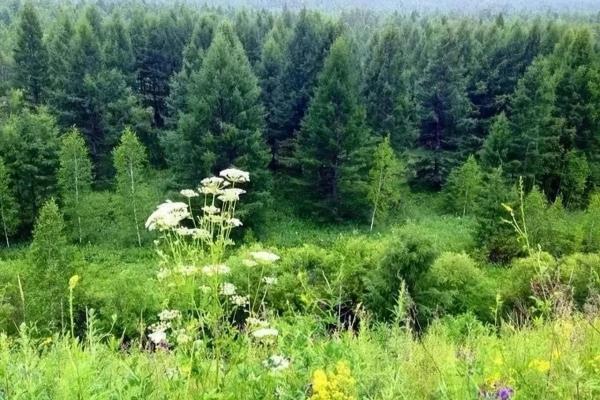 呼伦贝尔下雨影响旅游吗.