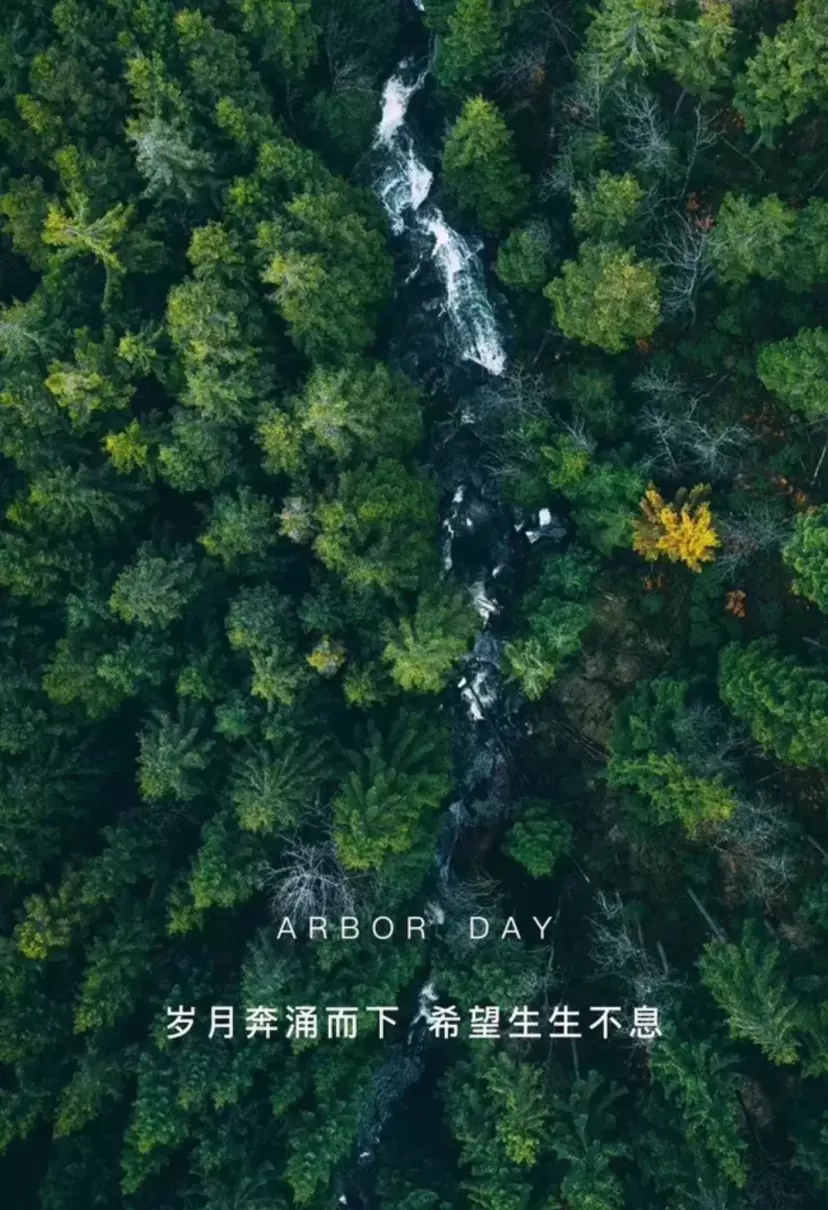 描写植树的诗句有哪些(10)