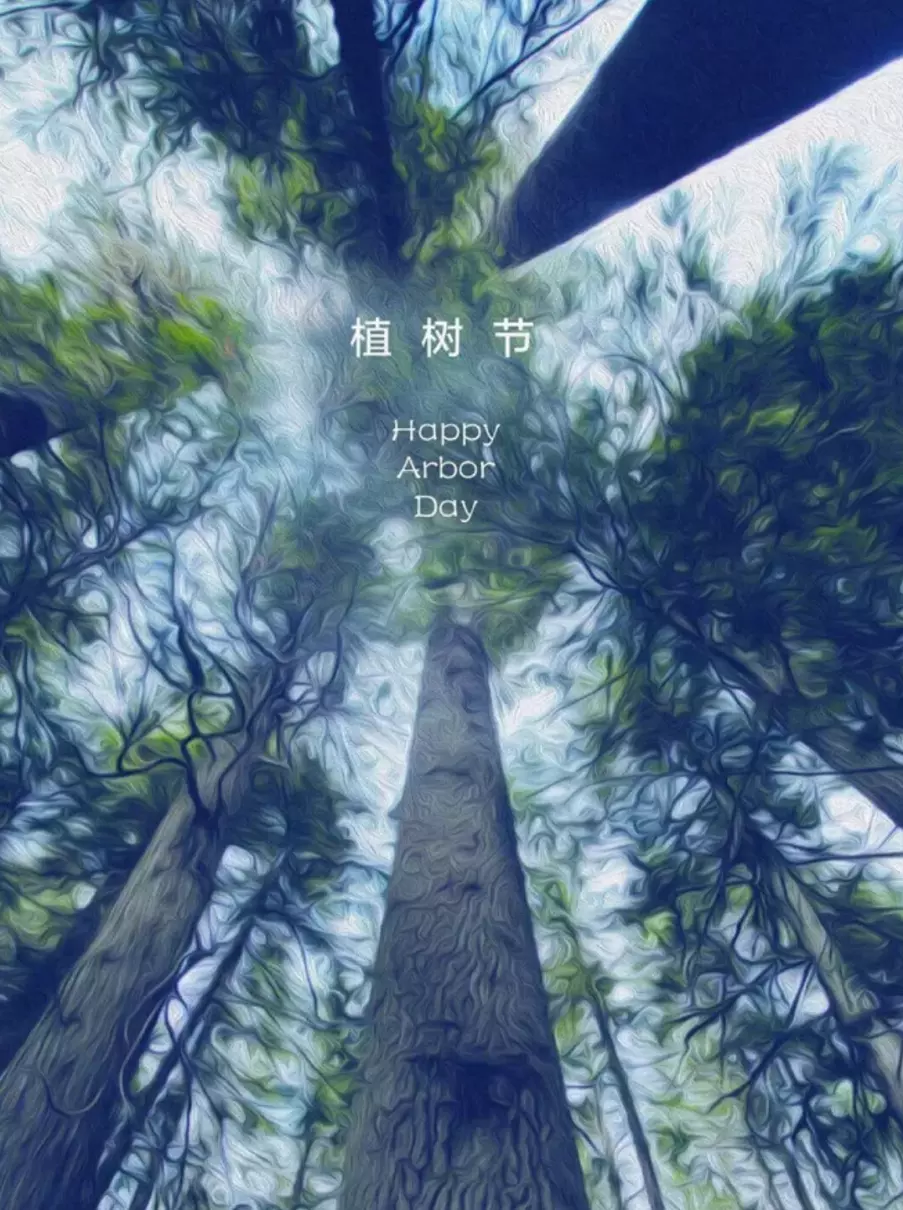 描写植树的诗句有哪些(14)