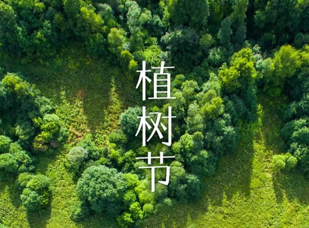 描写植树的诗句有哪些(16)