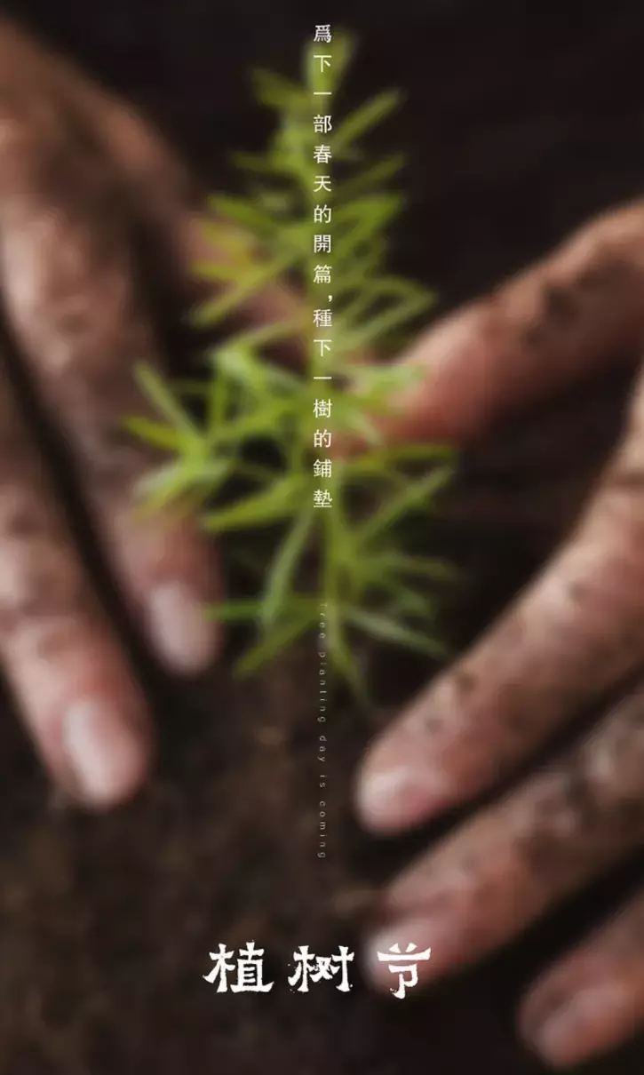 描写植树的诗句有哪些(4)