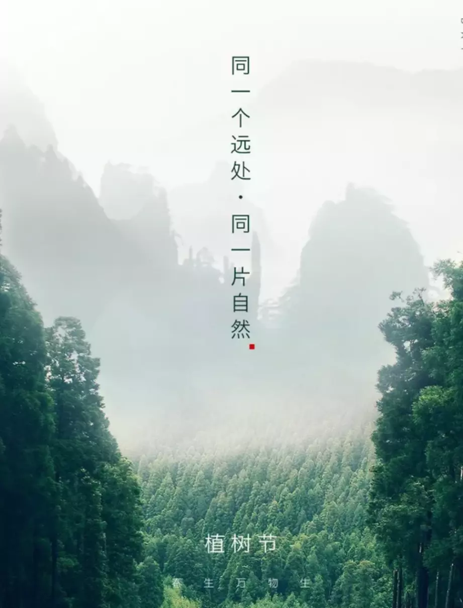 描写植树的诗句有哪些(8)