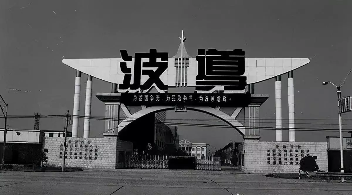 波导手机是哪个国家的品牌(4)