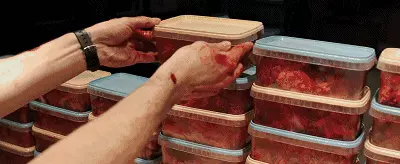 血色孤语结局什么意思(8)