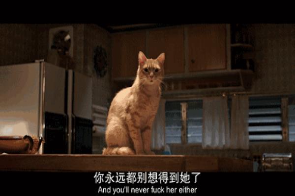 血色孤语结局什么意思.