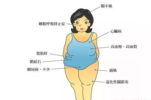 中医埋线疗法的作用及副作用(6)