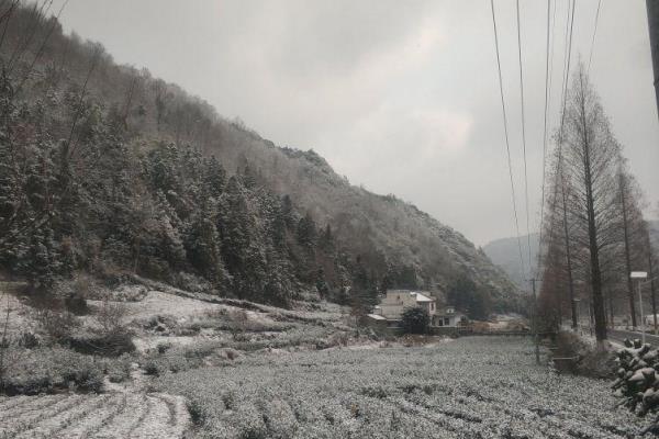 打造心灵的韧度出自哪一本书.