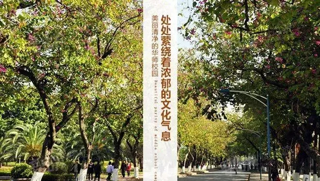 天津空港白云酒店自助餐价格(4)