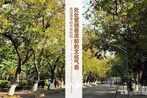 天津空港白云酒店自助餐价格.