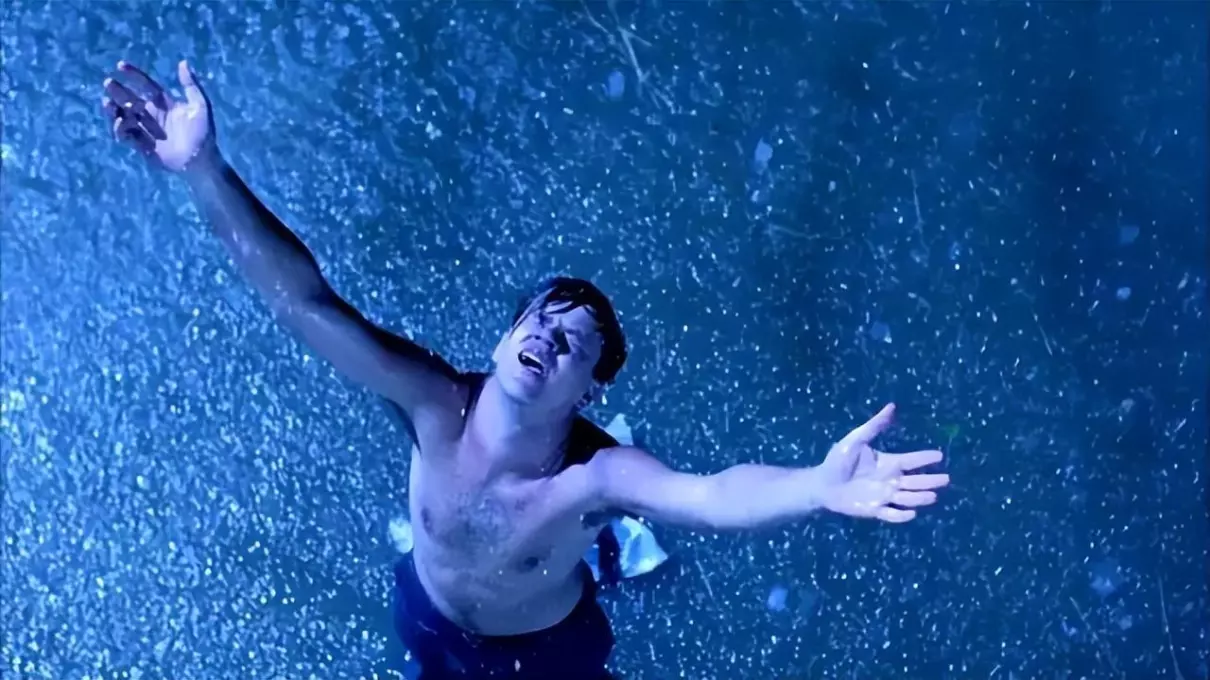 肖申克的救赎名句有些鸟是关不住的(2)