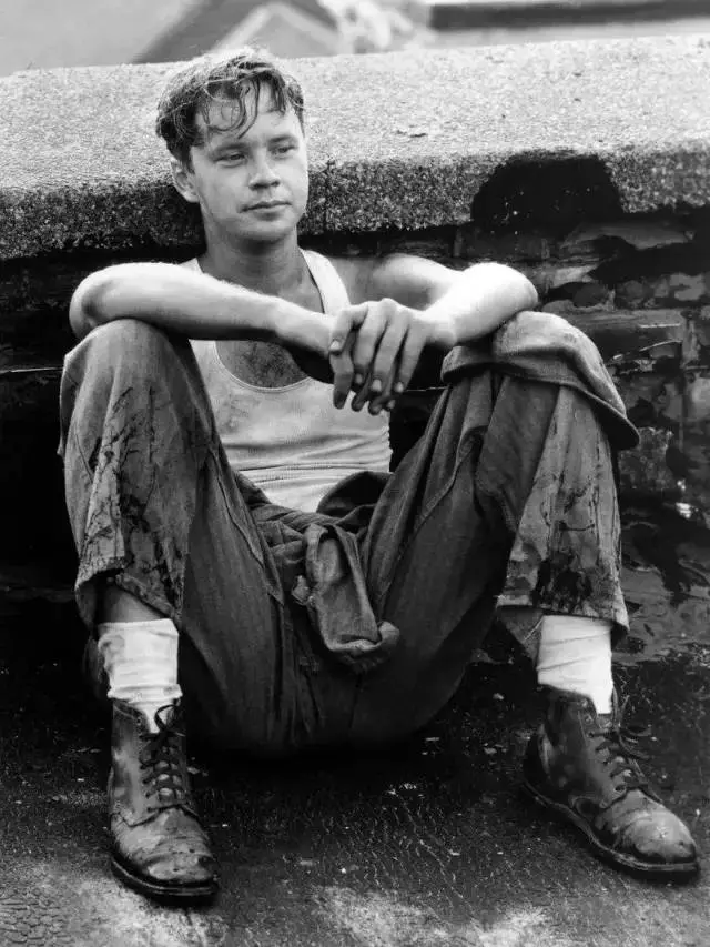 肖申克的救赎名句有些鸟是关不住的(3)