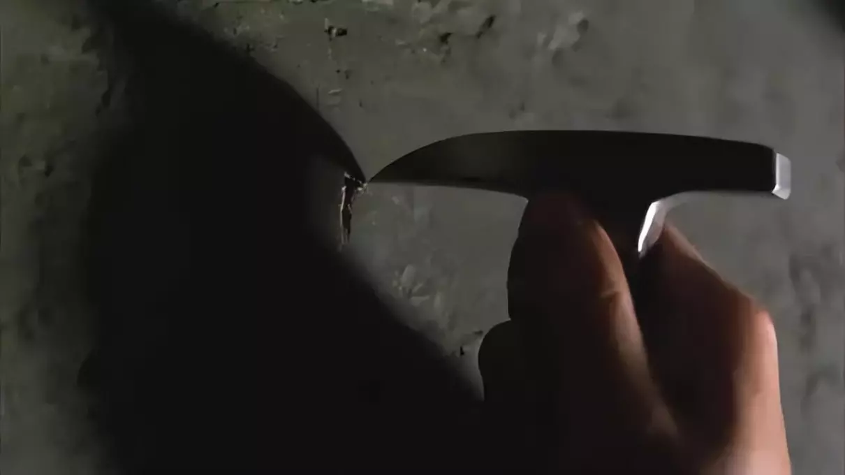 肖申克的救赎名句有些鸟是关不住的(5)