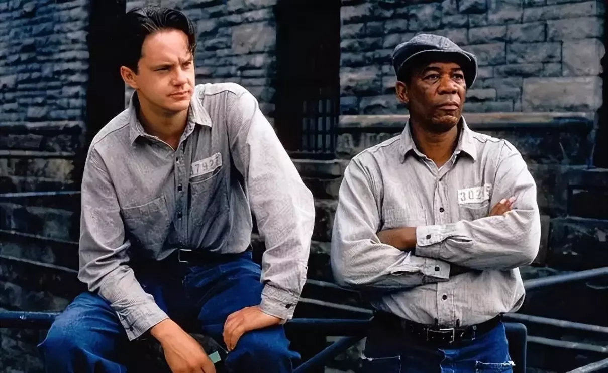 肖申克的救赎名句有些鸟是关不住的(7)