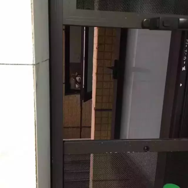 隔窗有眼为什么没资源(5)