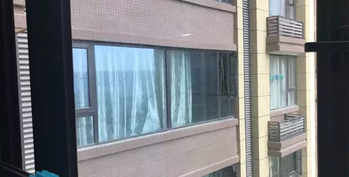 隔窗有眼为什么没资源(8)