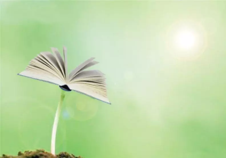 璧还用于自己还是别人(2)