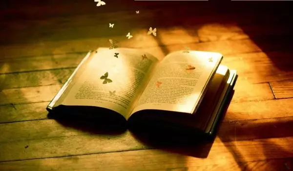 璧还用于自己还是别人(8)