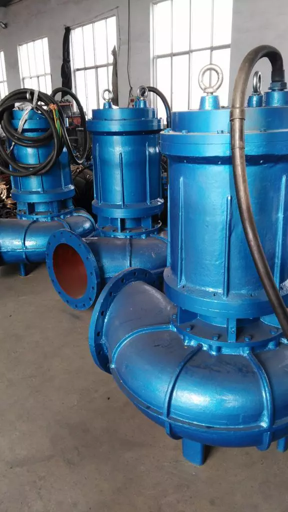 国内水泵厂家排名(6)