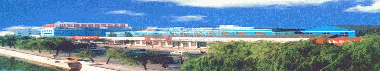 国内水泵厂家排名(7)