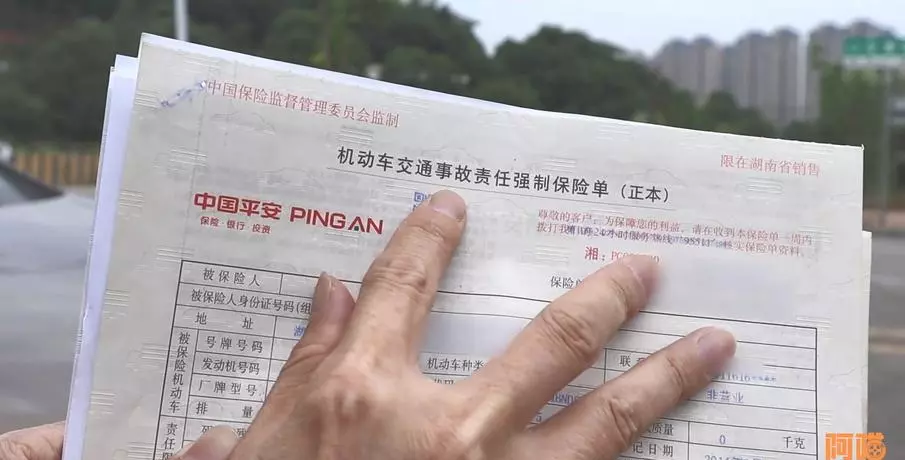 太平保险车险怎么样(2)