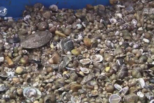 底栖动物在长江口海域生态系统中的作用.