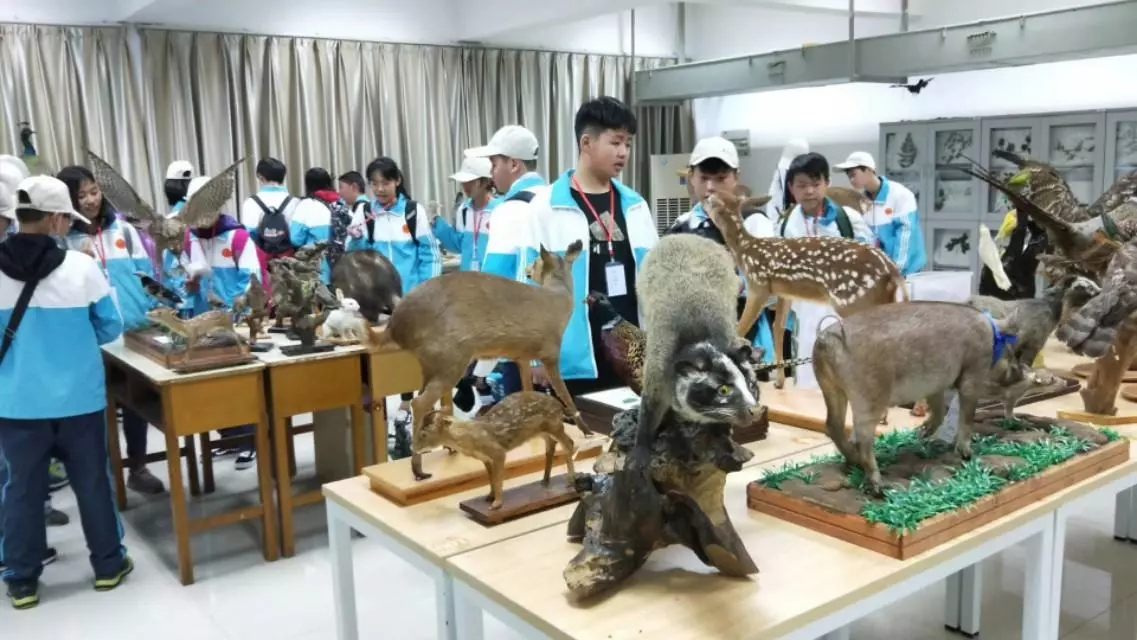 郤诜高第 高步云衢可以用来祝福中考吗(4)