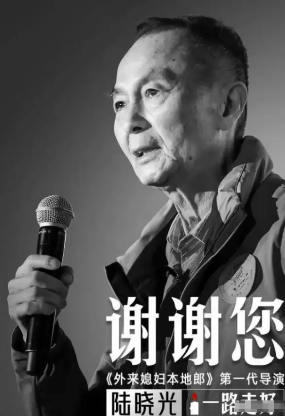 外来媳妇本地郎演员表全部真实关系(8)