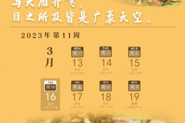 临沧佤王宴在哪个村吃饭.