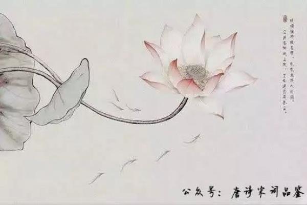 池上二绝是几年级古诗.