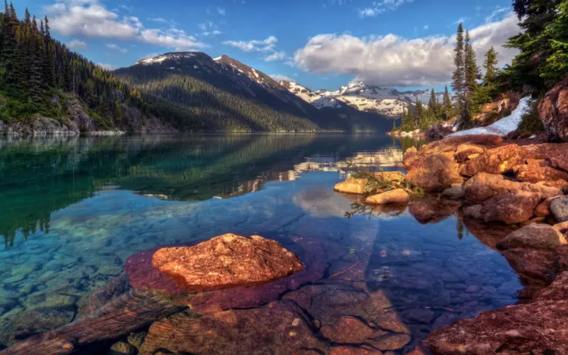 对口专科和普通专科的区别(1)