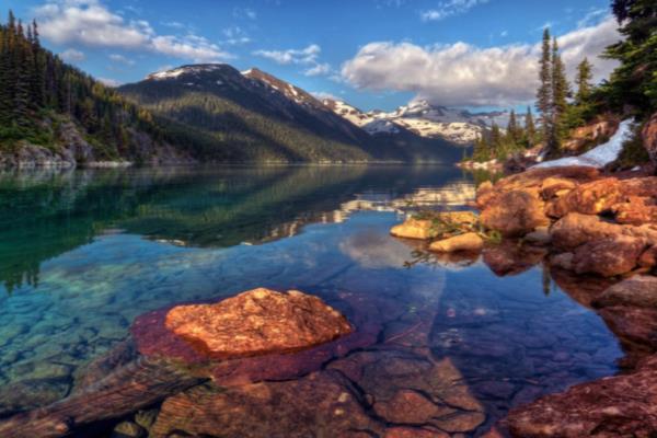 对口专科和普通专科的区别.