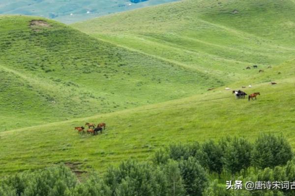 天苍苍野茫茫风吹草低见牛羊的意思是什么意思.