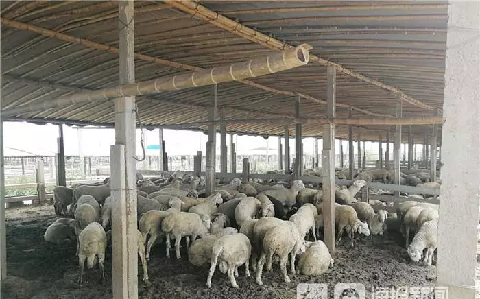 盐窝镇属于哪个市(1)