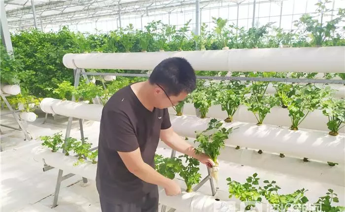 盐窝镇属于哪个市(2)