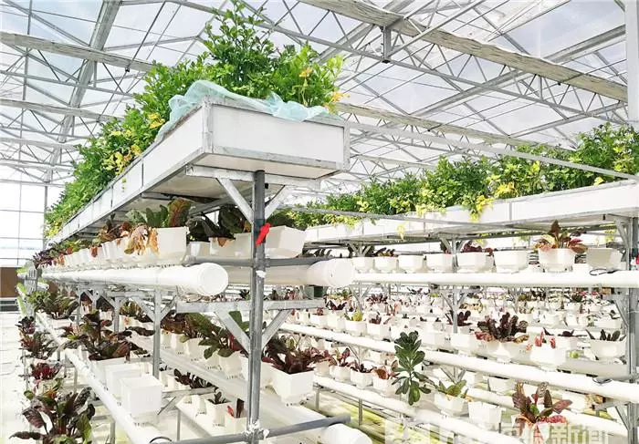 盐窝镇属于哪个市(3)