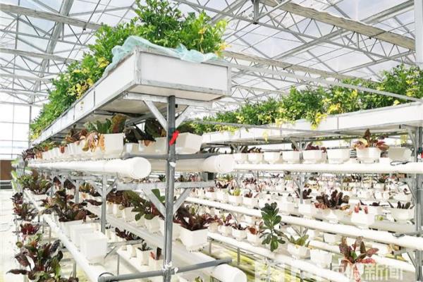 盐窝镇属于哪个市.