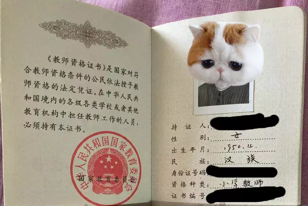 教师资格证书编号和合格证明编号一样吗(2)