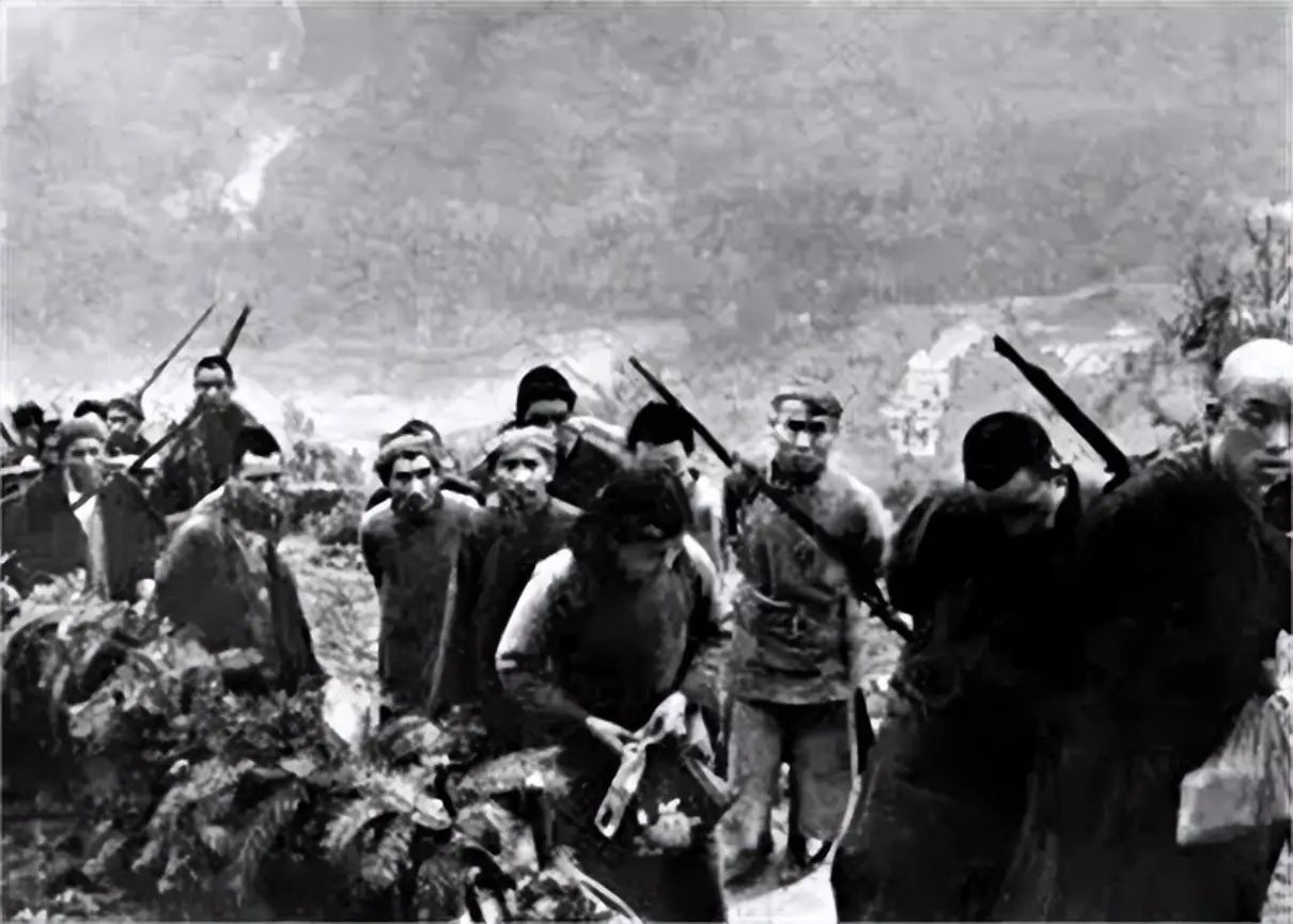 农村幺妹儿为什么停播(11)