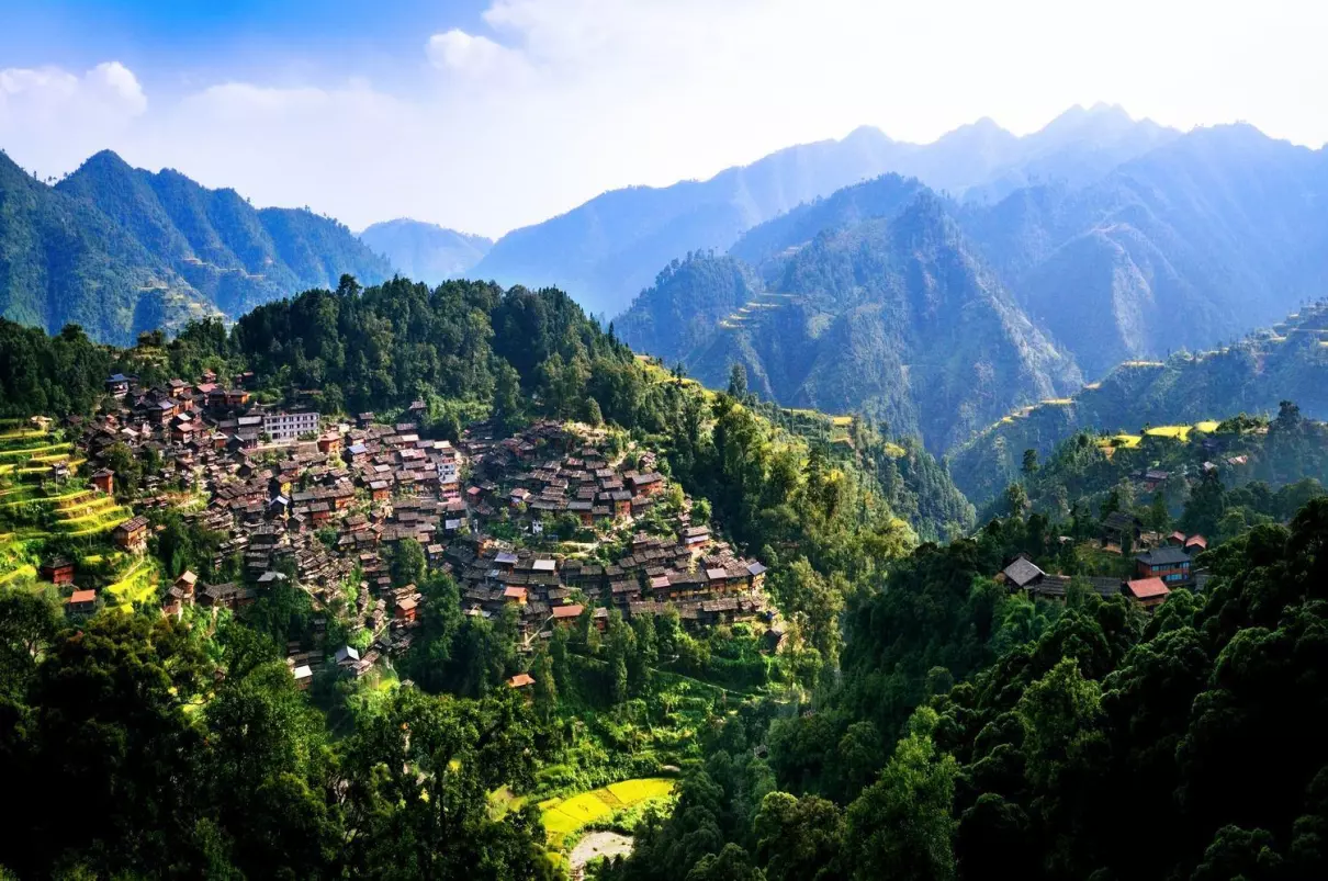 农村幺妹儿为什么停播(3)